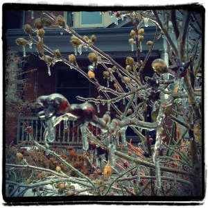 baby it's cold outside